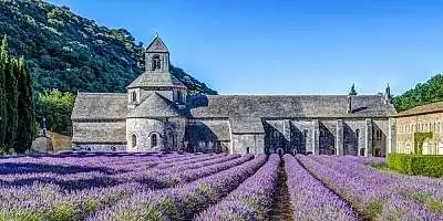 Visite guidée de l'Abbaye de Sénanque